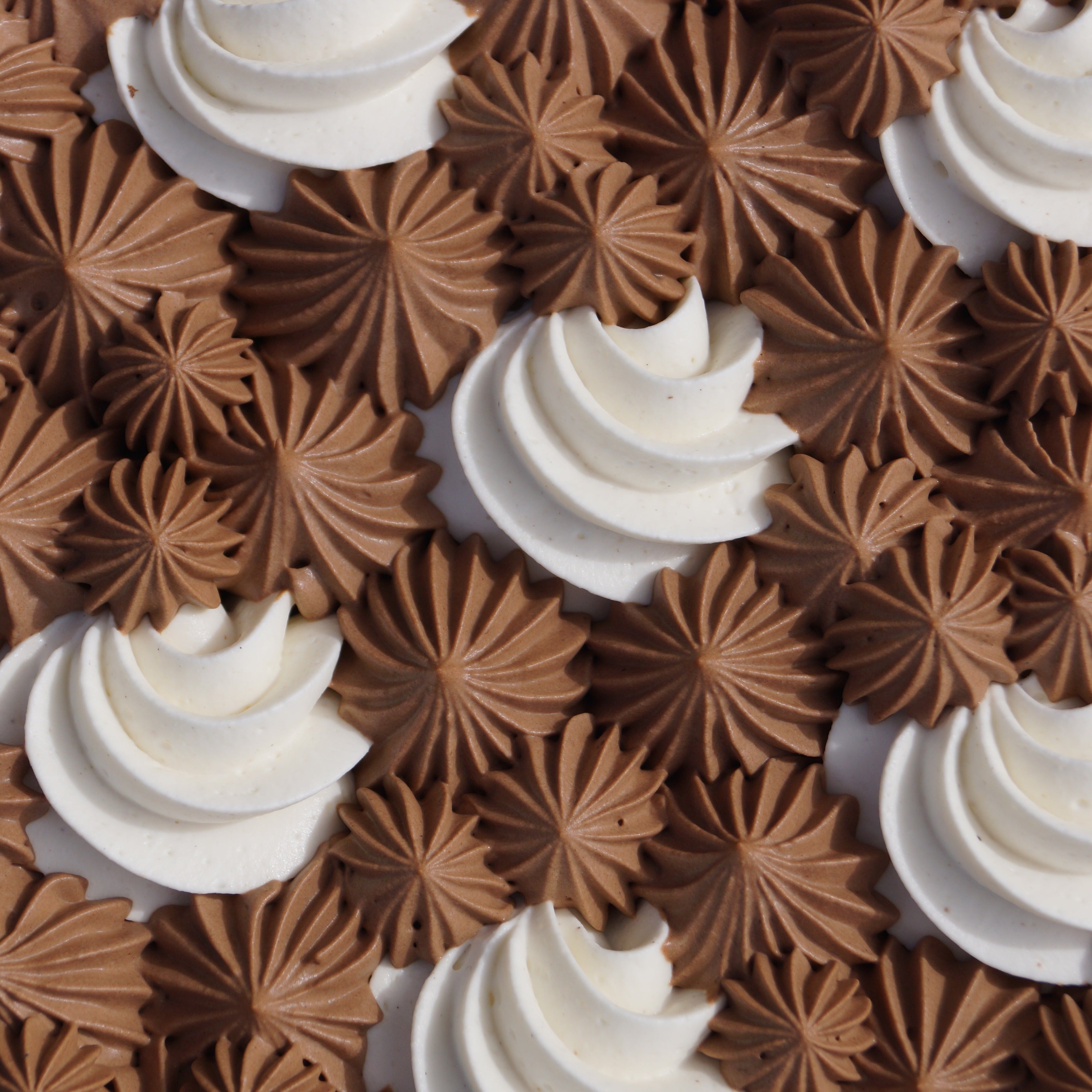 Ti' Noisette (croustillant chocolat noisette) l'atelier de l'alouette
